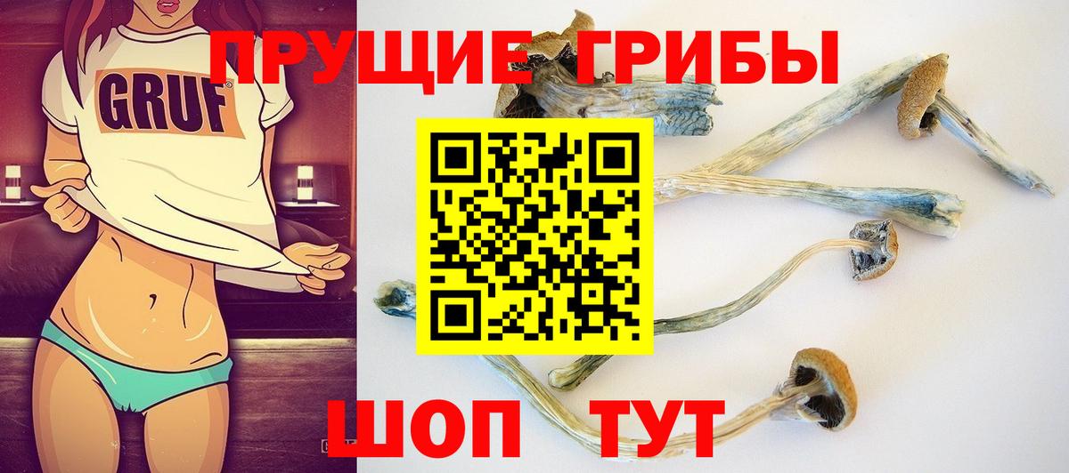 Галлюциногенные грибы MAGIC MUSHROOMS  Галлюциногенные грибы Psilocybine cubensis  Вход с VPN  Ялта 